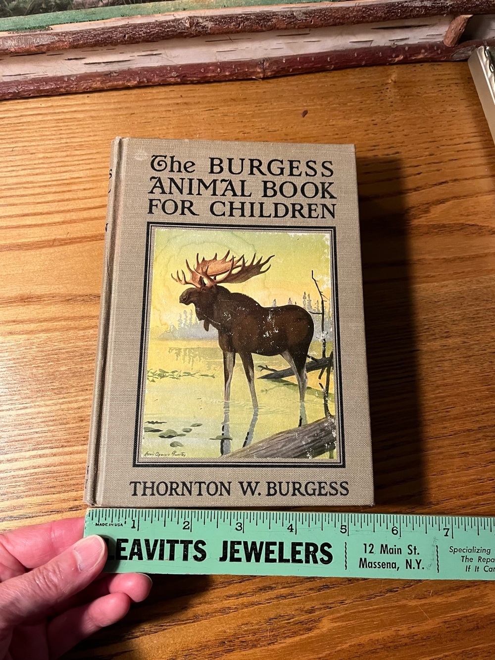 1920 Burgess Animal Book for Children - Hardcover color bookplates - Picture 13 of 16